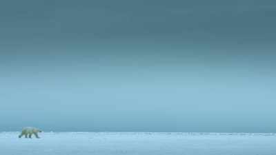 To survive a life below zero, - Super/Natural