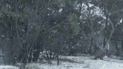To survive here, you must be able
to tolerate really harsh conditions. - Seven Worlds, One Planet