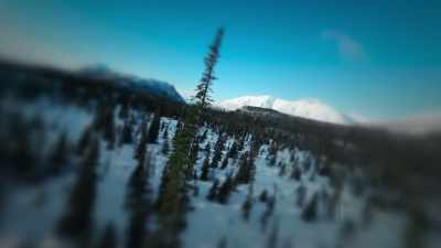 To me that's like,
free to do what you want, - Life Below Zero: First Alaskans
