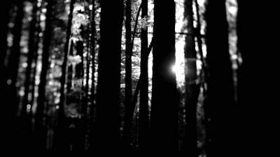  ...to uncover
 definitive evidence - Expedition Bigfoot
