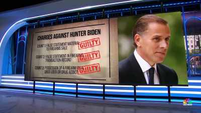 - To watch Hunter Biden,
an American citizen - From Russia with Lev