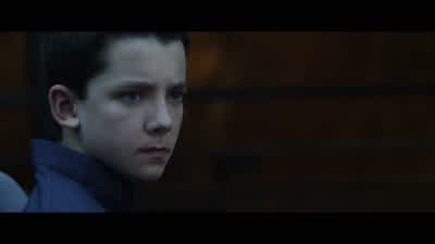 To what animals are the Formics most often compared? - Ender's Game