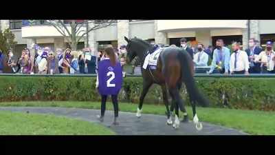 To win a Breeders'
Cup race is huge. - Horsepower