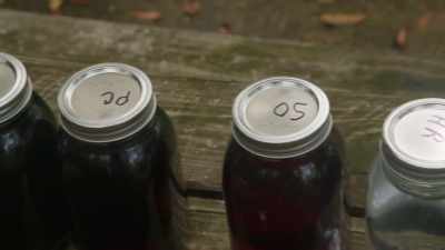   To win this all and go legal, - Moonshiners: Master Distiller