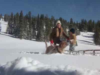 Toby... come on! - Further Adventures of the Wilderness Family