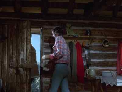 Toby, next time I come, no needles and no school books. - Further Adventures of the Wilderness Family