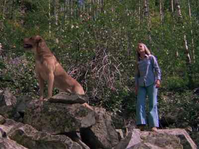 Toby! - Mountain Family Robinson