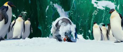 Today is a victory - Happy Feet Two