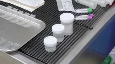 Today, we are going to be doing
a bone marrow biopsy - Secrets of the Zoo