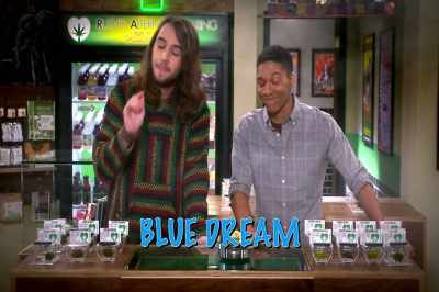 Today we have the very
popular Blue Dream. - Disjointed