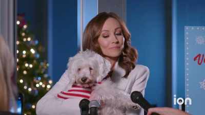 Today, I just
want to talk about the shelter. - Dognapped: A Hound for the Holidays