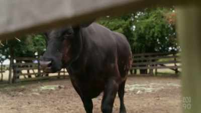 Today, it's a heritage-listed
tourist park, - Miriam Margolyes: Australia Unmasked