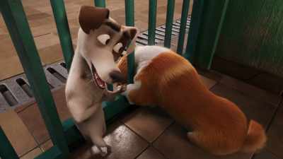 Today is open day for the public. Maybe you are lucky. - The Queen's Corgi