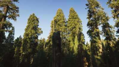 Today, our climate is changing,
bringing an unprecedented level - The Green Planet