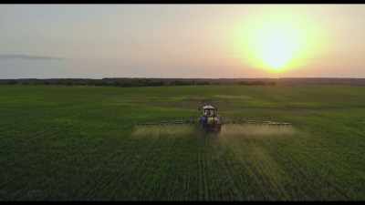 Today, our most common crops
are genetically altered - Kiss the Ground