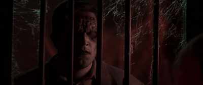 Today, the butterfly has flown, - Monster Mash