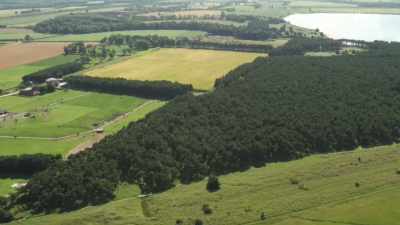Today, those trenches
are buried under forestry. - Scotland from the Sky