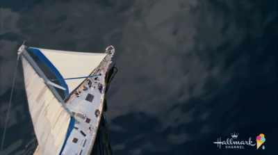 Today, we'll be sailing to Blue Island. - Five Summer Weddings
