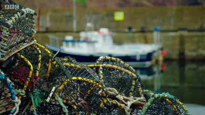 Today we're fishing for lobster - Remarkable Places to Eat