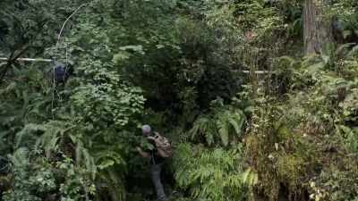  Today, we're gonna go back
 to the site where we found - Expedition Bigfoot