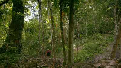 Today, with Edwin,
I'm going to investigate. - Lost Treasures of the Maya