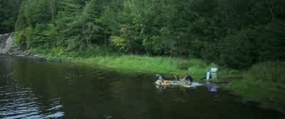 TODD: Come on! - Chaos Walking
