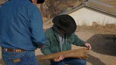 Todd: IF SOMETHING TAKES A WEEK
LONGER THAN - Dino Hunters