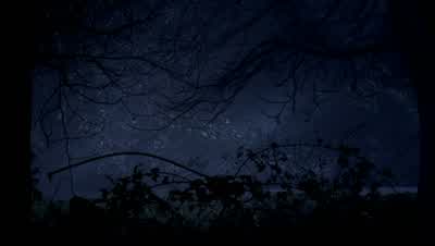 TODD: Jimmy meant something to this town. - Supernatural