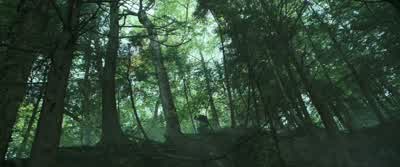 TODD: Quiet out here. - Chaos Walking