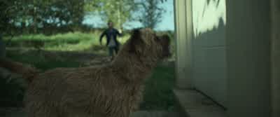 TODD: What is it? - Chaos Walking