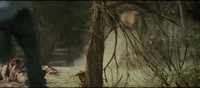 Togar not that way - Roar