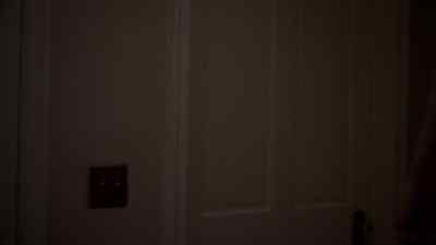 [ TOILET FLUSHES ] - The Americans