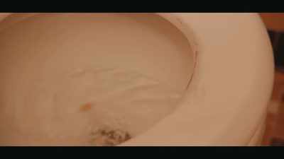 (toilet flushes) - Ebony Hustle 2: Ballistic Protection