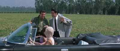 Told you our luck would change. - It Happened at the World's Fair