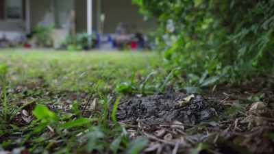 told-wife-i-going-to-daytona-left - Buried In The Backyard