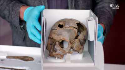 Tollense Valley
is a very special site, - Curse of the Ancients with Alice Roberts