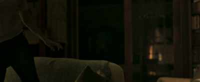 Tom, a bird just flew
into the window. - Sweet Virginia