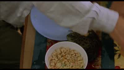 TOM: come on! - Cheaper by the Dozen