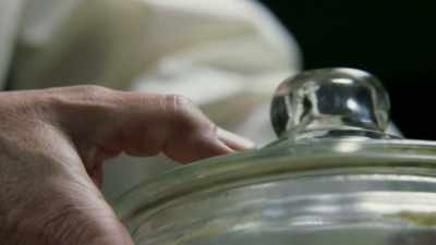 - Tom harvey turned out
to be the man who really - The Man Who Stole Einstein's Brain