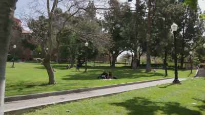 Tom had moved to UCLA - Thomas Sowell: Common Sense in a Senseless World