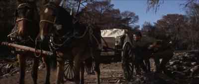 Tom! Tom!
Use the horses to get back. - The Sons of Katie Elder