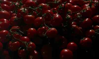 Tomatoes, - The Postman