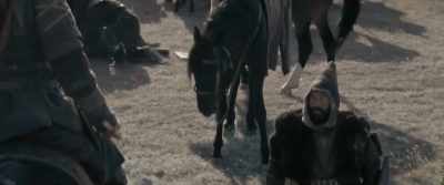 Tomiris, I feel guilty before you. - The Legend of Tomiris
