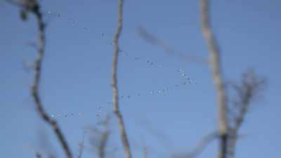 Tomorrow, I've only got
one place left to hunt. - Life Below Zero: Next Generation