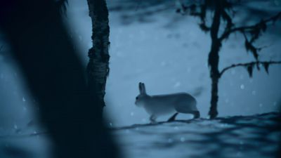 Tonight, he emerges victorious. - Earth at Night in Color