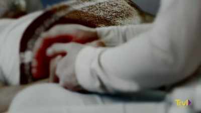 TONY: She moved him around
so he wouldn't get bed sores, - Devil's Road: The True Story of Ed and Lorraine Warren