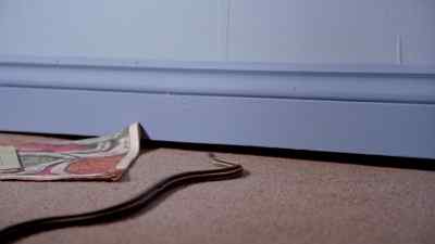 Tony, supper time. - Xtro