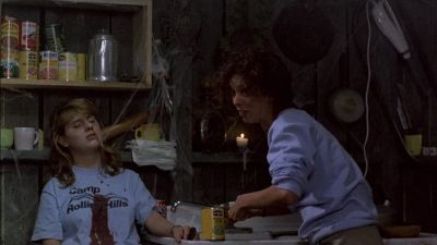 Too bad they haven't figured out a way - Sleepaway Camp II: Unhappy Campers