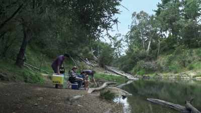 Too nice a day
to be sitting behind a desk. - Savage River