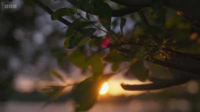 Too often, we have regarded nature
as something it's nice to have. - Wild Isles